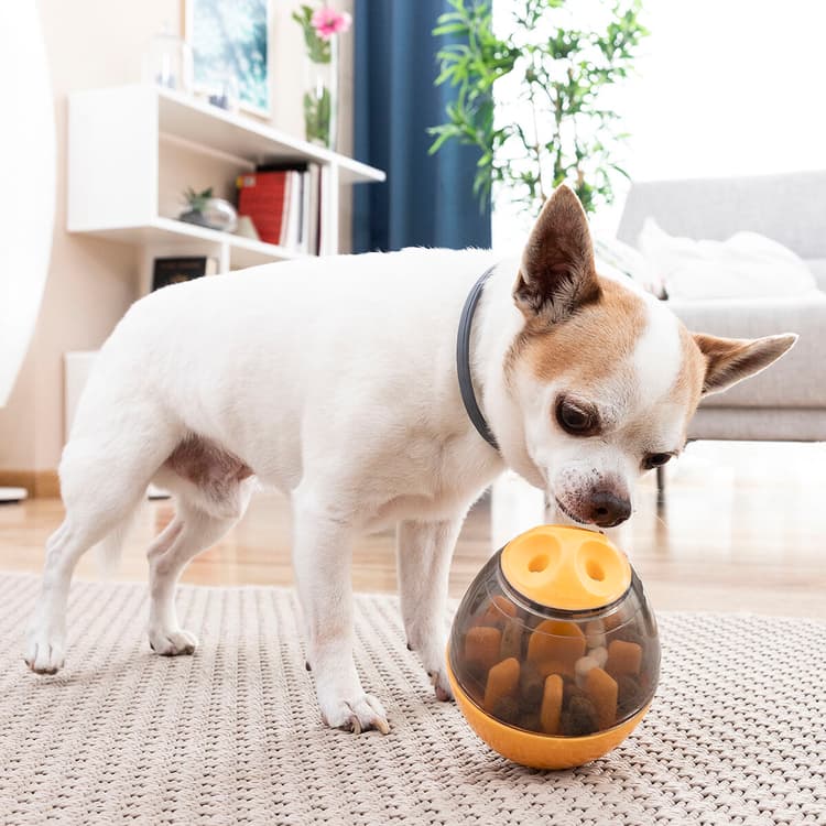2 - in - 1 Pet Treat Dispenser Puzzle Toy - MegaStore24