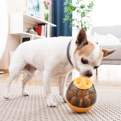2 - in - 1 Pet Treat Dispenser Puzzle Toy - MegaStore24
