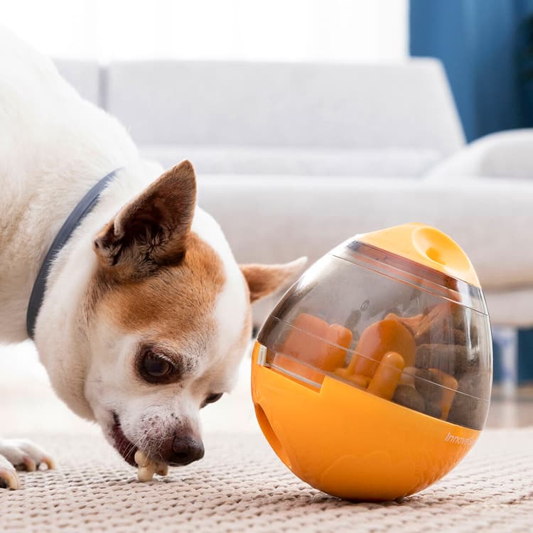 2 - in - 1 Pet Treat Dispenser Puzzle Toy - MegaStore24