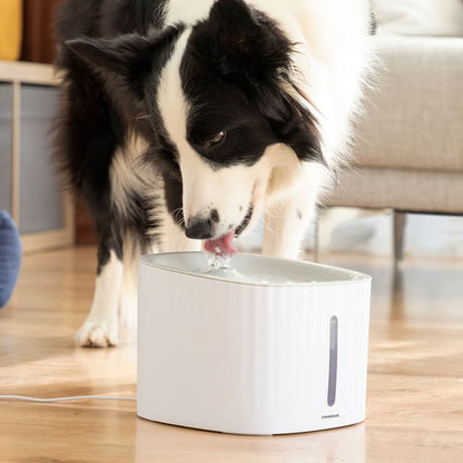 3L Silent Pet Water Fountain Filter - MegaStore24