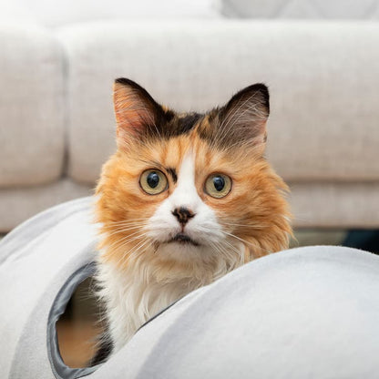 Collapsible Cat Play Tunnel Toy - MegaStore24