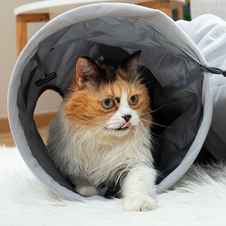 Collapsible Cat Play Tunnel Toy - MegaStore24