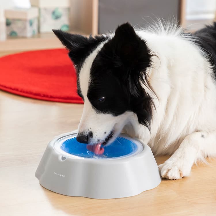 Cooling Gel Pet Water Bowl - MegaStore24