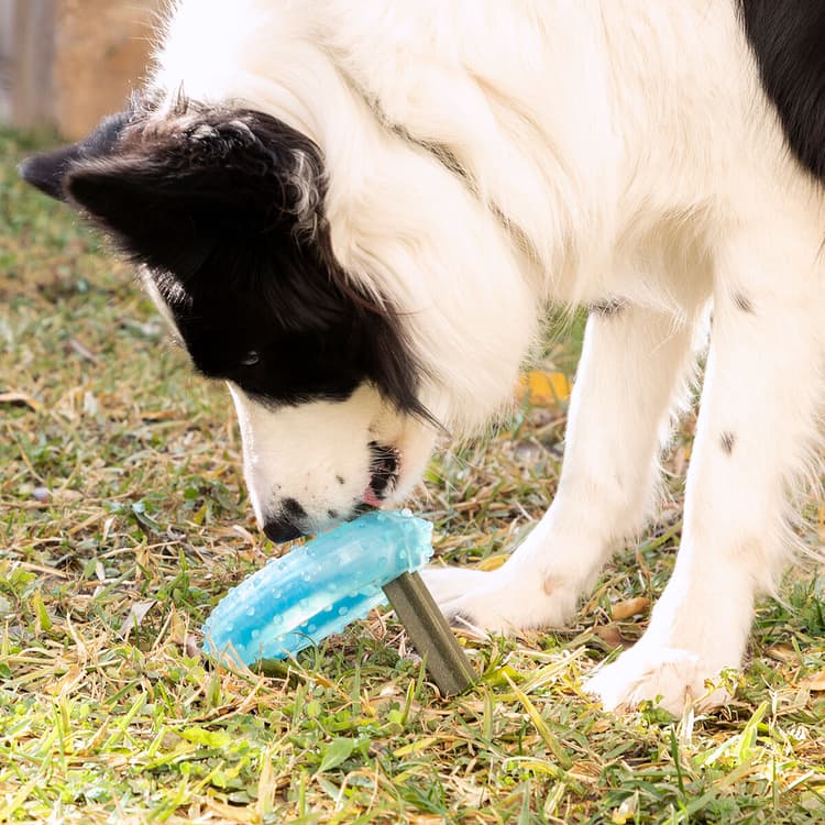 Freezable 2 - in - 1 Dog Chew & Cool Toy - MegaStore24