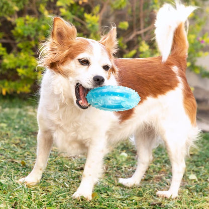 Freezable 2 - in - 1 Dog Chew & Cool Toy - MegaStore24