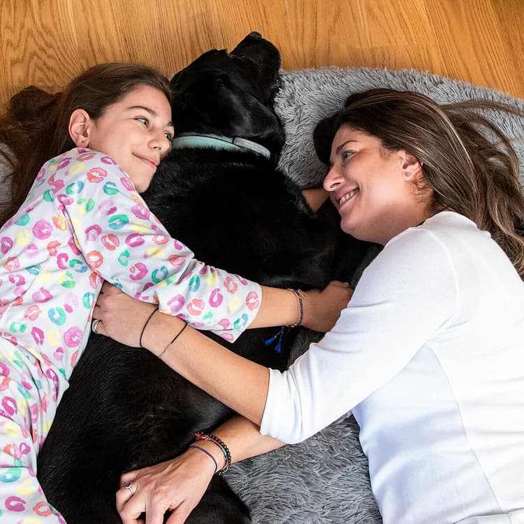 Giant Cozy Human Dog Bed – XXL Oversized Lounger - MegaStore24