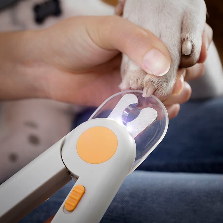 LED Pet Nail Clippers with Nail File - MegaStore24