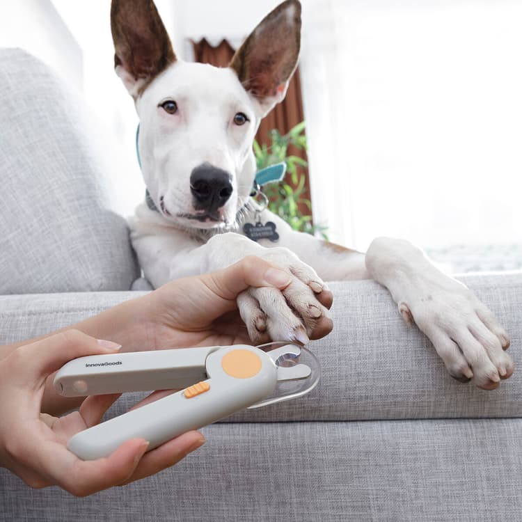 LED Pet Nail Clippers with Nail File - MegaStore24