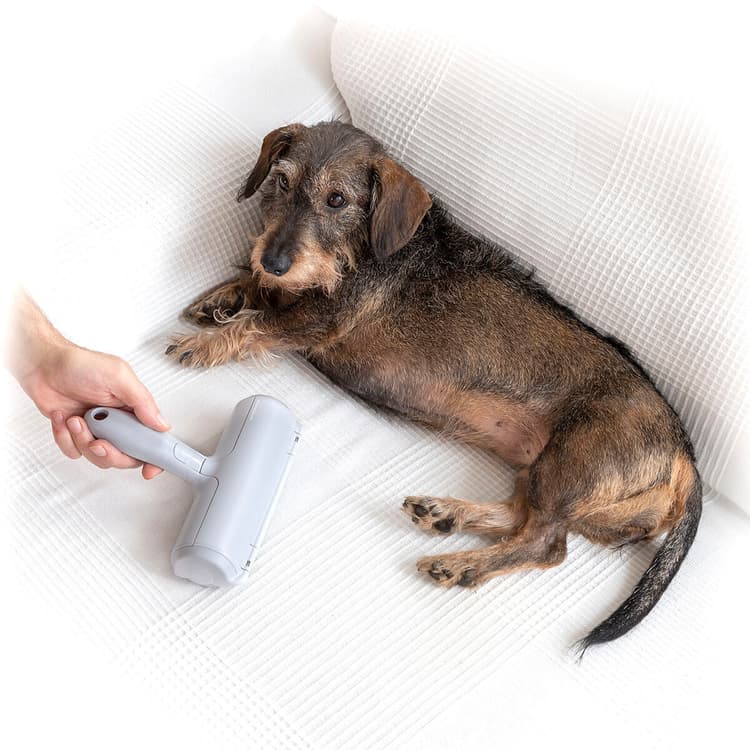 Reusable Pet Hair Remover Roller - MegaStore24