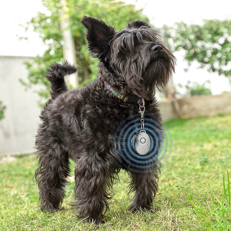 Ultrasound Rechargeable Pet Parasite Repellent - MegaStore24